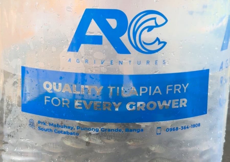 Tilapia fingerlings packed in an AR&C Agriventures bag, ready for a grower