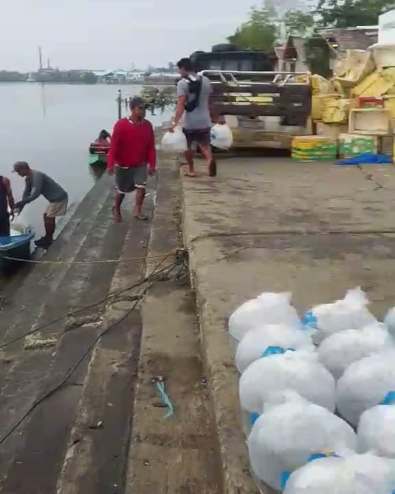AR&C Agriventures tilapia fingerlings arriving at the Butuan City river landing