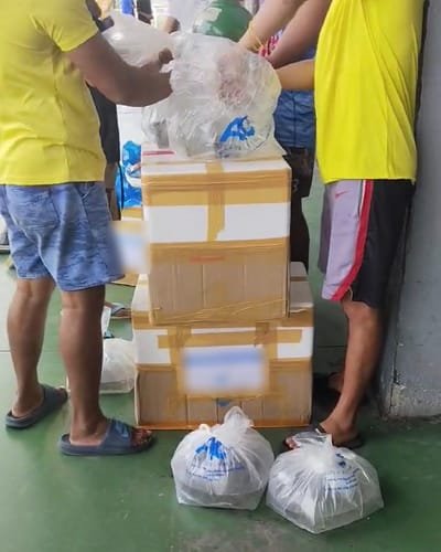 Boxes and bags of AR&C Agriventures tilapia fingerlings on arrival in Iloilo City